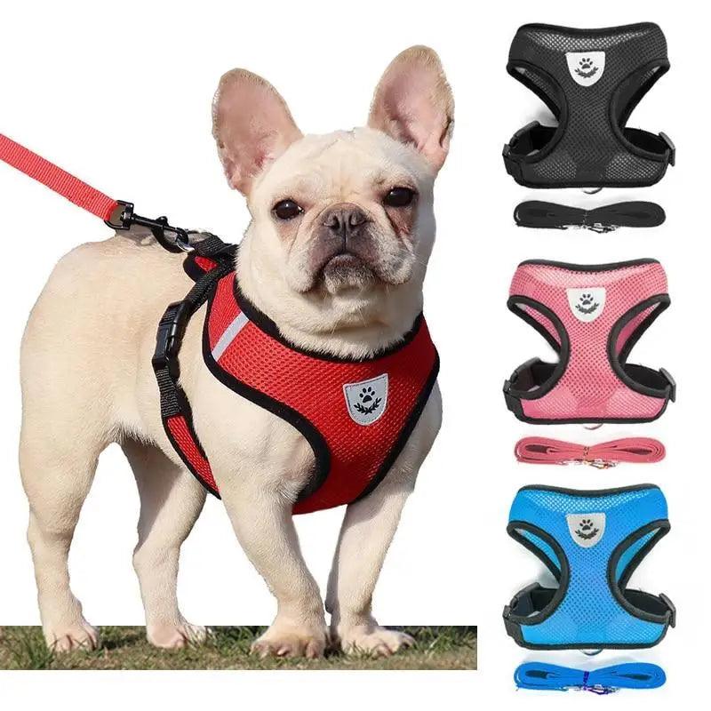 Stevvex adjustable no-pull dog harness with padded red vest, easy control handle; black pink blue on Tampa Home & Garden Store