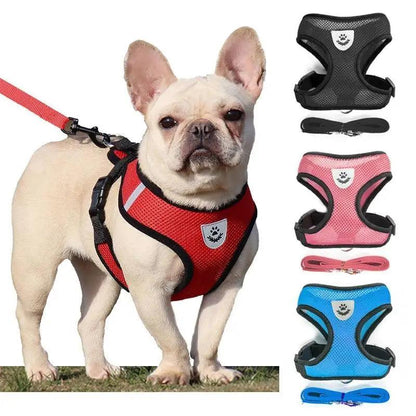 Stevvex adjustable no-pull dog harness with padded red vest, easy control handle; black pink blue on Tampa Home & Garden Store