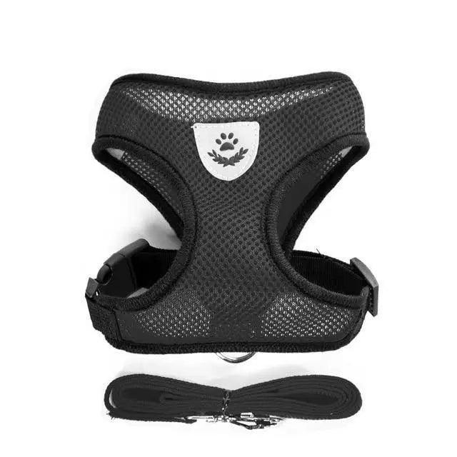 Stevvex adjustable no-pull dog harness with soft padding and easy control handle, leash included on Tampa Home & Garden Store
