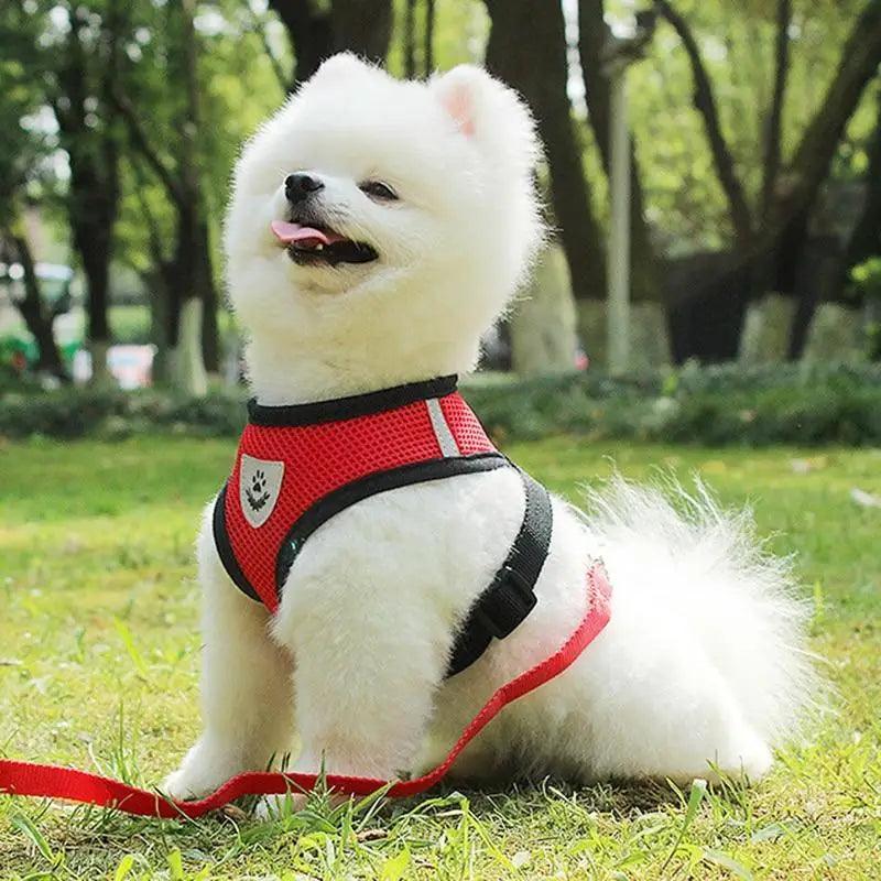 Stevvex adjustable red dog harness with black trim and reflective stripe on Tampa Home & Garden Store