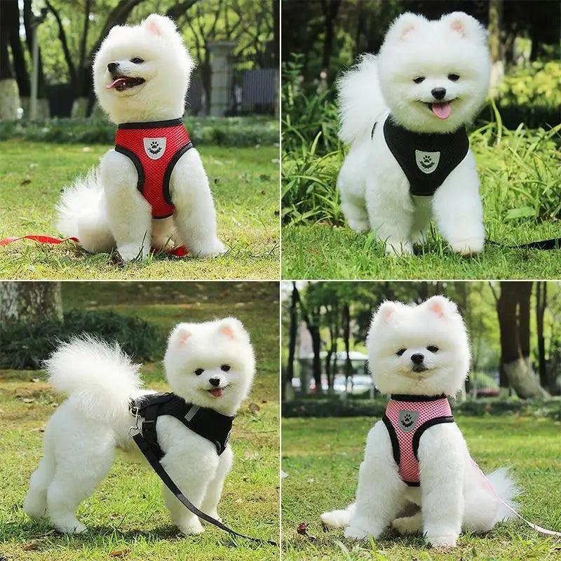 Stevvex adjustable no-pull dog harness; red, black, pink versions with reflective feature on Tampa Home & Garden Store