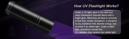 Stevvex UV flashlight 21LED/12LED adjustable rechargeable black light handheld torch for bedbugs on Tampa Home & Garden Store