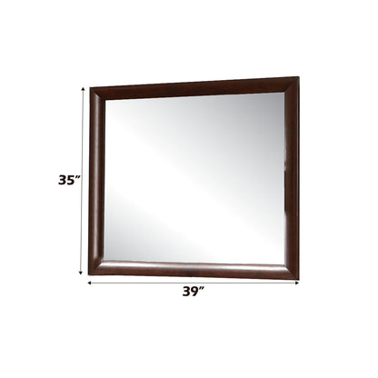 Ireland Contemporary Design Mirror by HouseOfZazla with dark wood frame, 39x35 in on Tampa Home & Garden Store