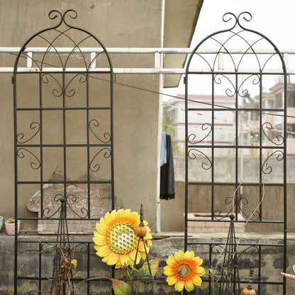 Rustproof metal garden trellis for climbing plants, black arched frame by HouseOfZazla on Tampa Home & Garden Store