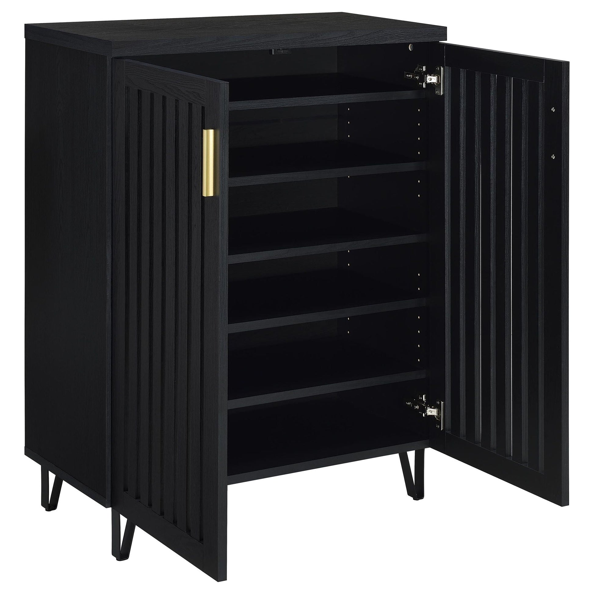 Clackamas 2-Door Storage Cabinet with Adjustable Shelves, black finish, HouseOfZazla cabinet on Tampa Home & Garden Store