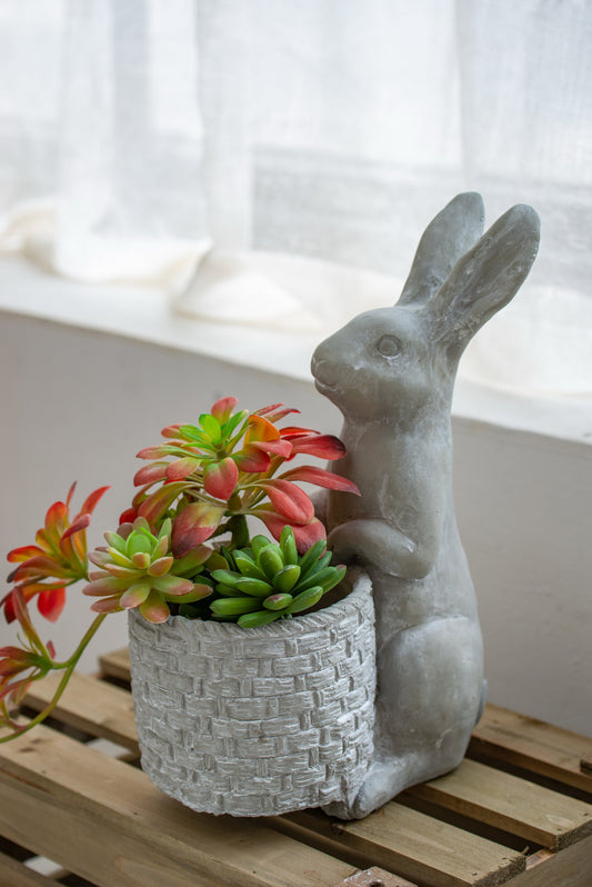 Meridian Trade Co cement rabbit planter with gray brick-textured pot and succulents by HouseOfZazla on Tampa Home & Garden Store