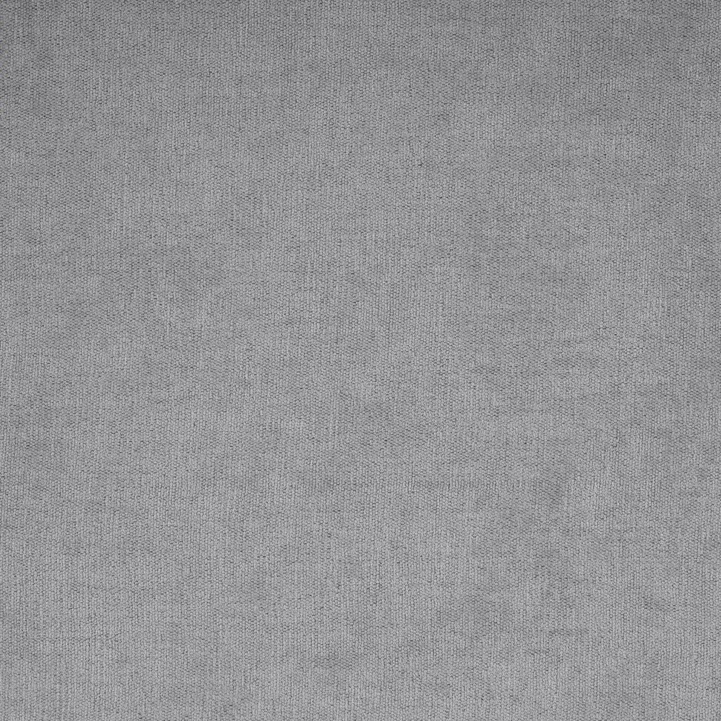 Gray loop-pile carpet closeup texture, neutral backdrop on Tampa Home & Garden Store