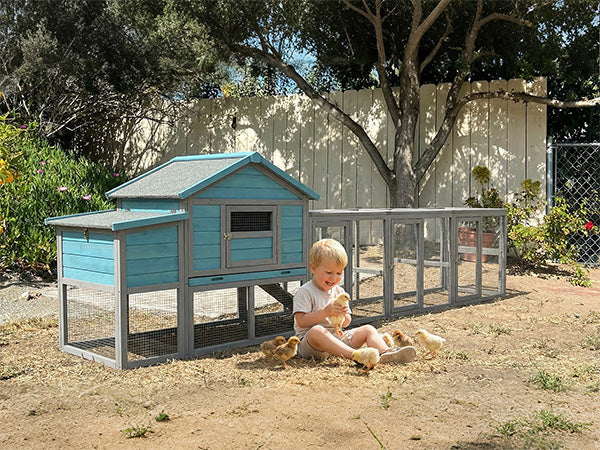 HouseOfZazla 141in blue wooden chicken coop with nesting box and wire-fence run on Tampa Home & Garden Store