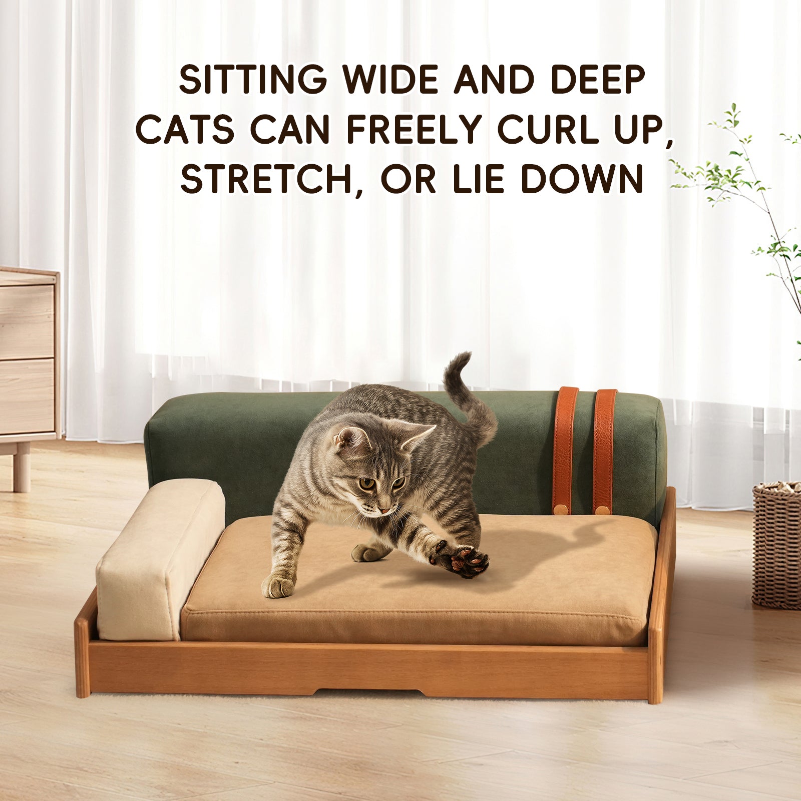 Modern wooden pet bed with beige cushion and natural wood frame, cat lounging on bed on Tampa Home & Garden Store