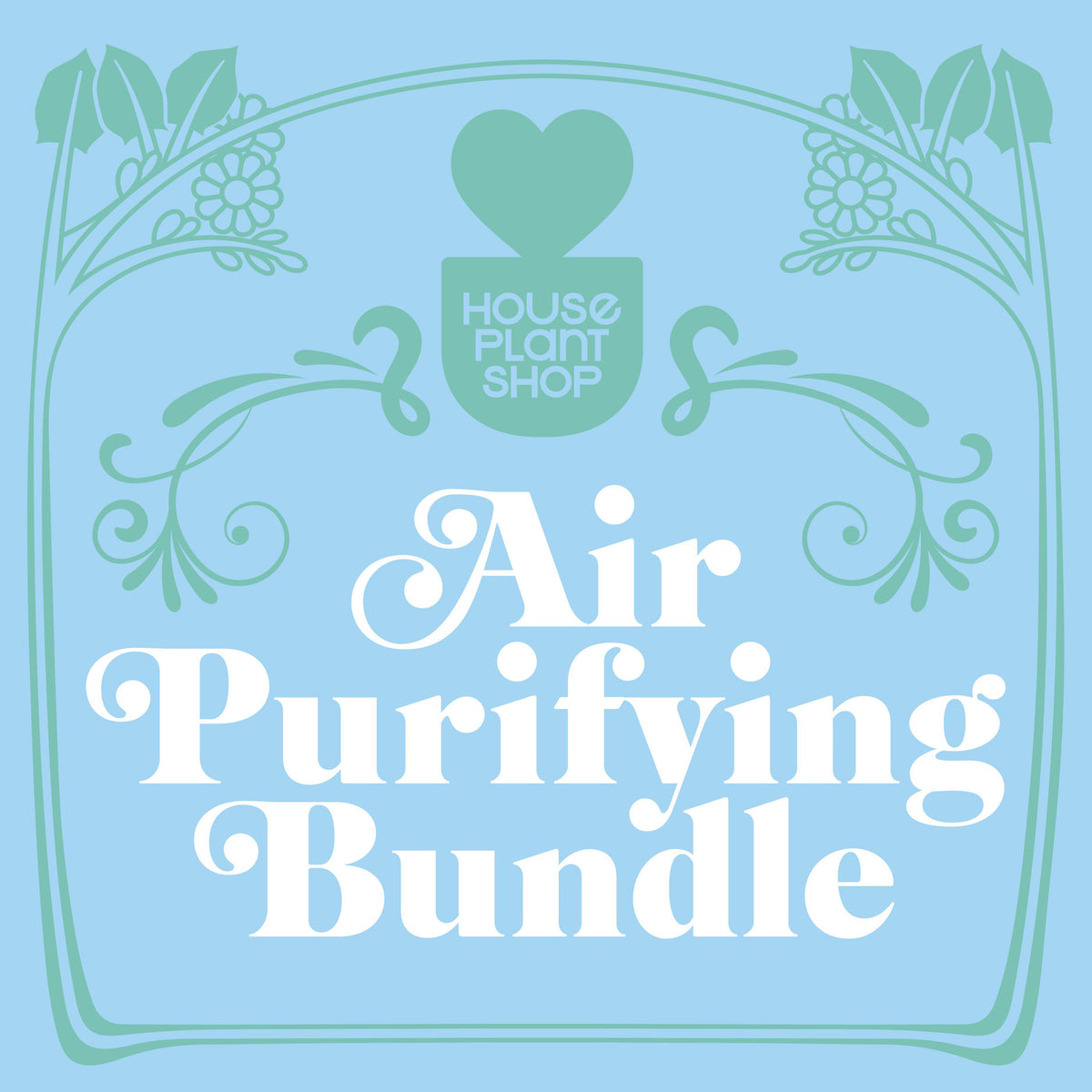 Air Purifying Variety Bundle, two 4-inch House Plant Shop plants, teal label on blue background on Tampa Home & Garden Store