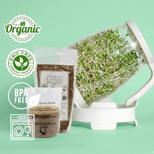Kit de inicio de alfalfa Sprout Spout: Sprout Spout + 4 oz o 1 lb de semillas + Sprout Scoop gratis