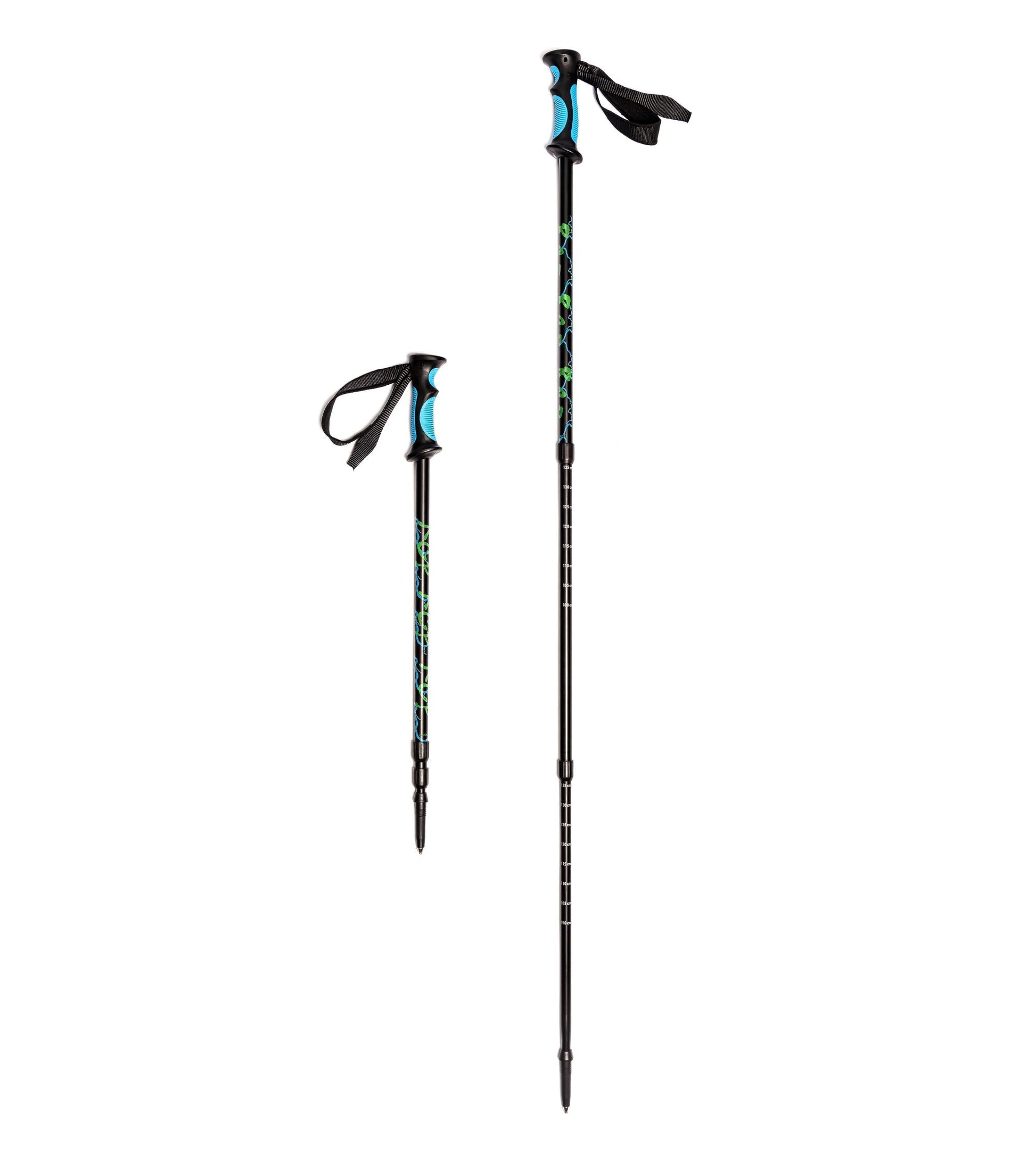 River Country Gear aluminum trekking poles with blue grips and vine-pattern shafts, 2 poles on Tampa Home & Garden Store