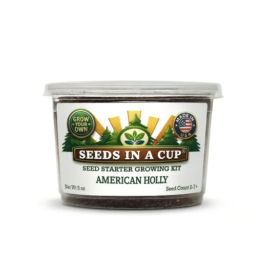 Kit de cultivo de acebo americano