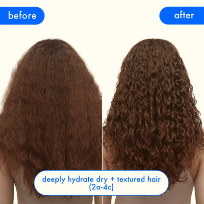 Amika Hydro Rush Intense Moisture Shampoo before after hair, two brown curly heads, Nava Beauty on Tampa Home & Garden Store