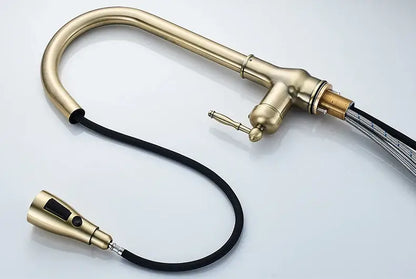The Antique Bronze Pull-Down Kitchen Faucet