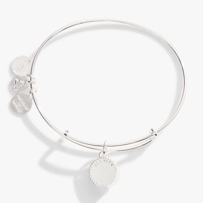 April Clear Crystal Birthstone Charm Bangle by ALEX AND ANI, silver-tone bracelet with charms on Tampa Home & Garden Store