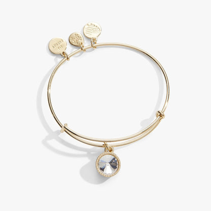April birthstone charm bracelet by Alex and Ani on gold-tone bangle with clear crystal discs on Tampa Home & Garden Store
