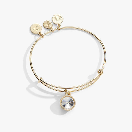 April birthstone charm bracelet by Alex and Ani on gold-tone bangle with clear crystal discs on Tampa Home & Garden Store