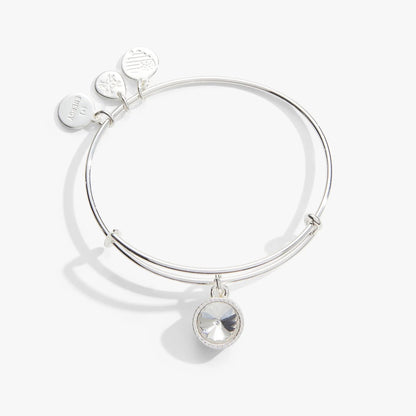 April Clear Crystal Birthstone Charm Bangle by Alex and Ani silver bracelet with charms on Tampa Home & Garden Store