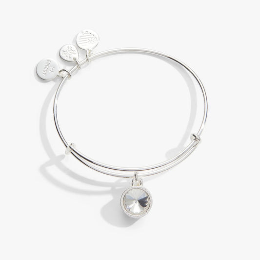 April Clear Crystal Birthstone Charm Bangle by Alex and Ani silver bracelet with charms on Tampa Home & Garden Store