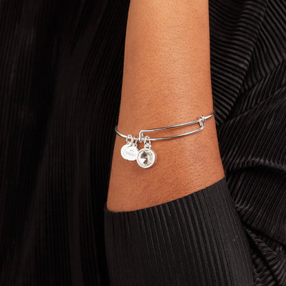 April Clear Crystal Charm Bangle by ALEX AND ANI in silver with crystal charm on Tampa Garden on Tampa Home & Garden Store
