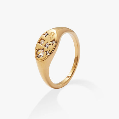 Aquarius Zodiac Ring by Alex and Ani, gold-tone band with crystal accents on Tampa Home & Garden Store