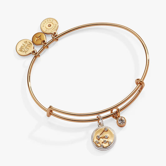 Aquarius Zodiac Charm Bangle by ALEX AND ANI gold bracelet with star charm and medallions on Tampa Home & Garden Store