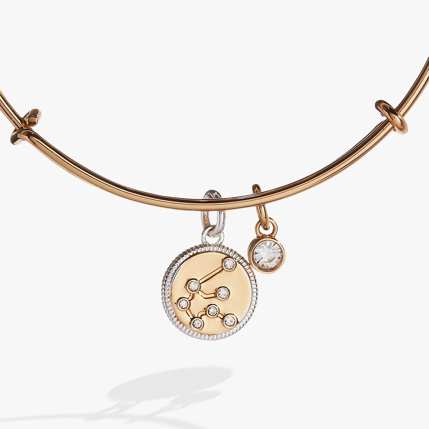 Aquarius Zodiac Charm Bangle rose gold-tone with two crystal charms on Tampa Home & Garden Store