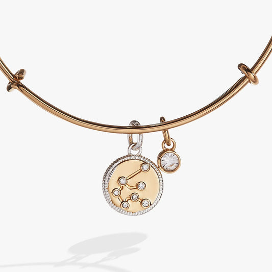 Aquarius Zodiac Charm Bangle rose gold-tone with two crystal charms on Tampa Home & Garden Store