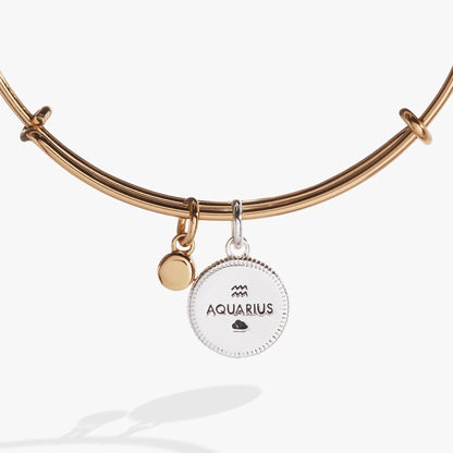 Aquarius Zodiac Charm Bangle rose gold by ALEX AND ANI with Aquarius charm on Tampa Home & Garden Store