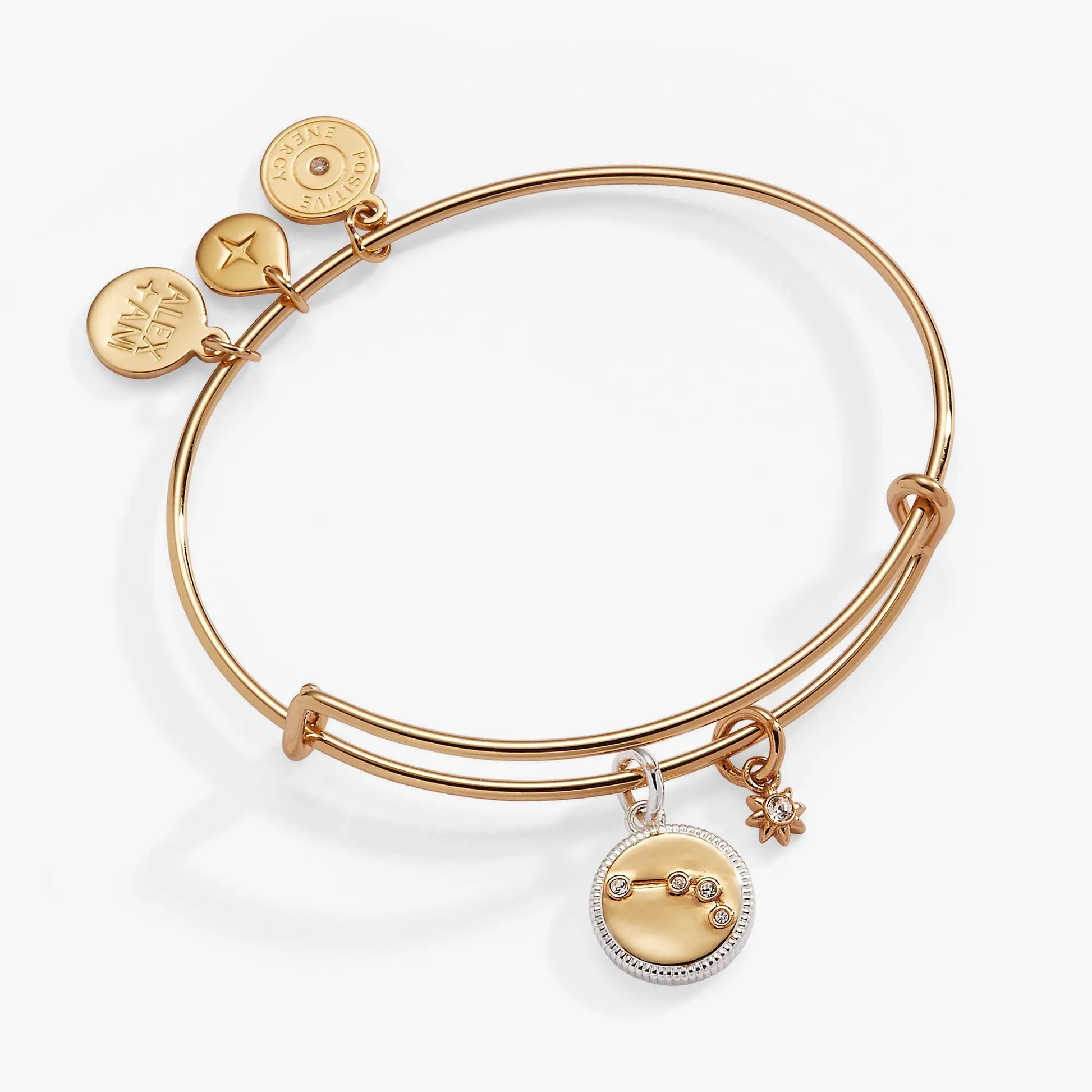 Aries Zodiac Charm Bangle by Alex and Ani, gold-tone bracelet with Aries disk and crystal charm on Tampa Home & Garden Store