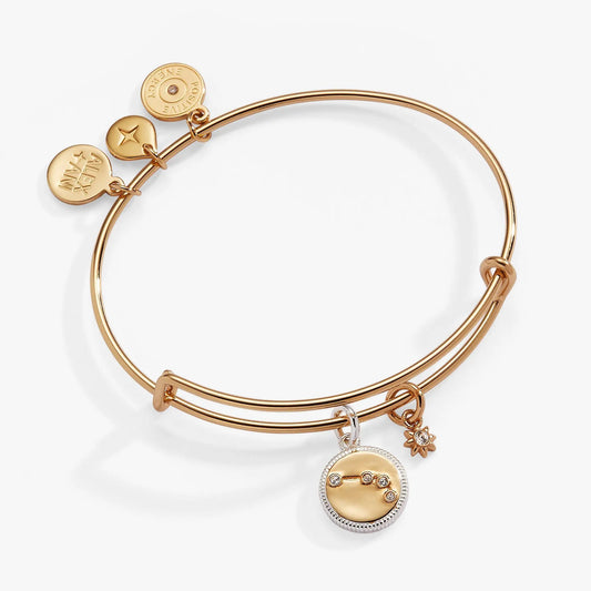 Aries Zodiac Charm Bangle by Alex and Ani, gold-tone bracelet with Aries disk and crystal charm on Tampa Home & Garden Store