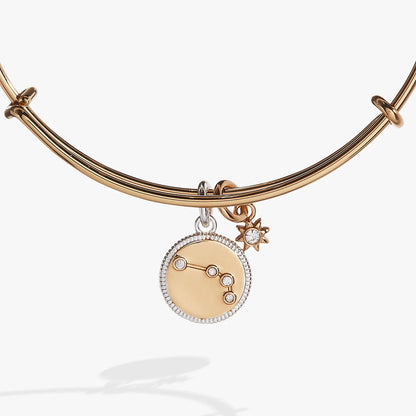 Alex and Ani Aries Zodiac Charm Bangle in rose gold tone with crystal pendant on Tampa Home & Garden Store