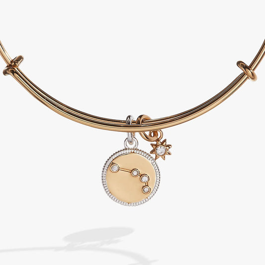 Alex and Ani Aries Zodiac Charm Bangle in rose gold tone with crystal pendant on Tampa Home & Garden Store