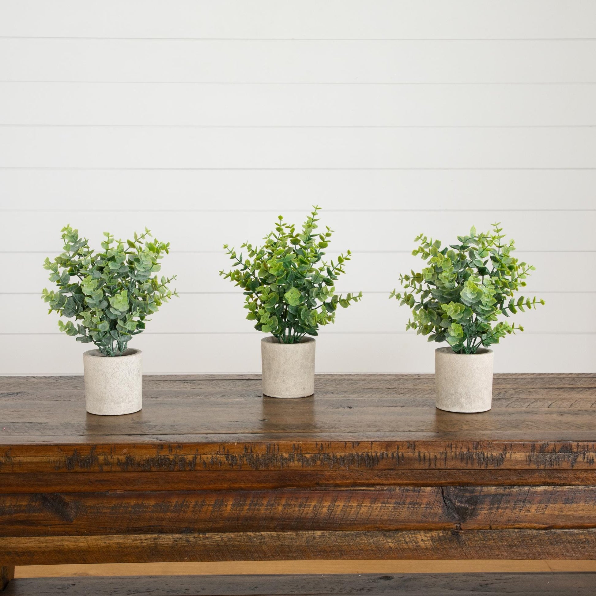 Three 10in artificial eucalyptus in decorative planters with green foliage on Tampa Home & Garden Store