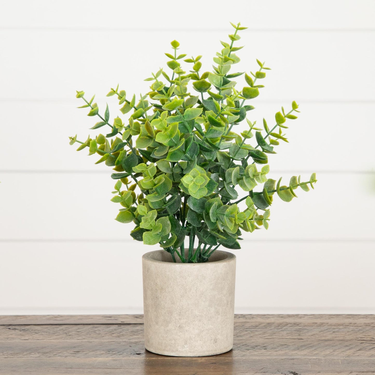 Artificial baby blue eucalyptus plant in decorative planter, Nearly Natural set of 3 on Tampa Home & Garden Store