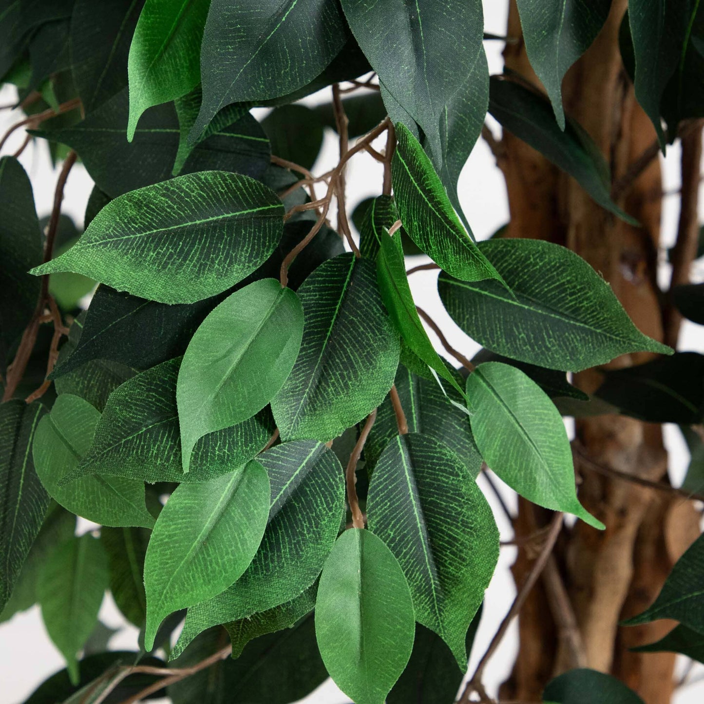 10 ft artificial ficus tree with natural trunk and lush green leaves on Tampa Home & Garden Store