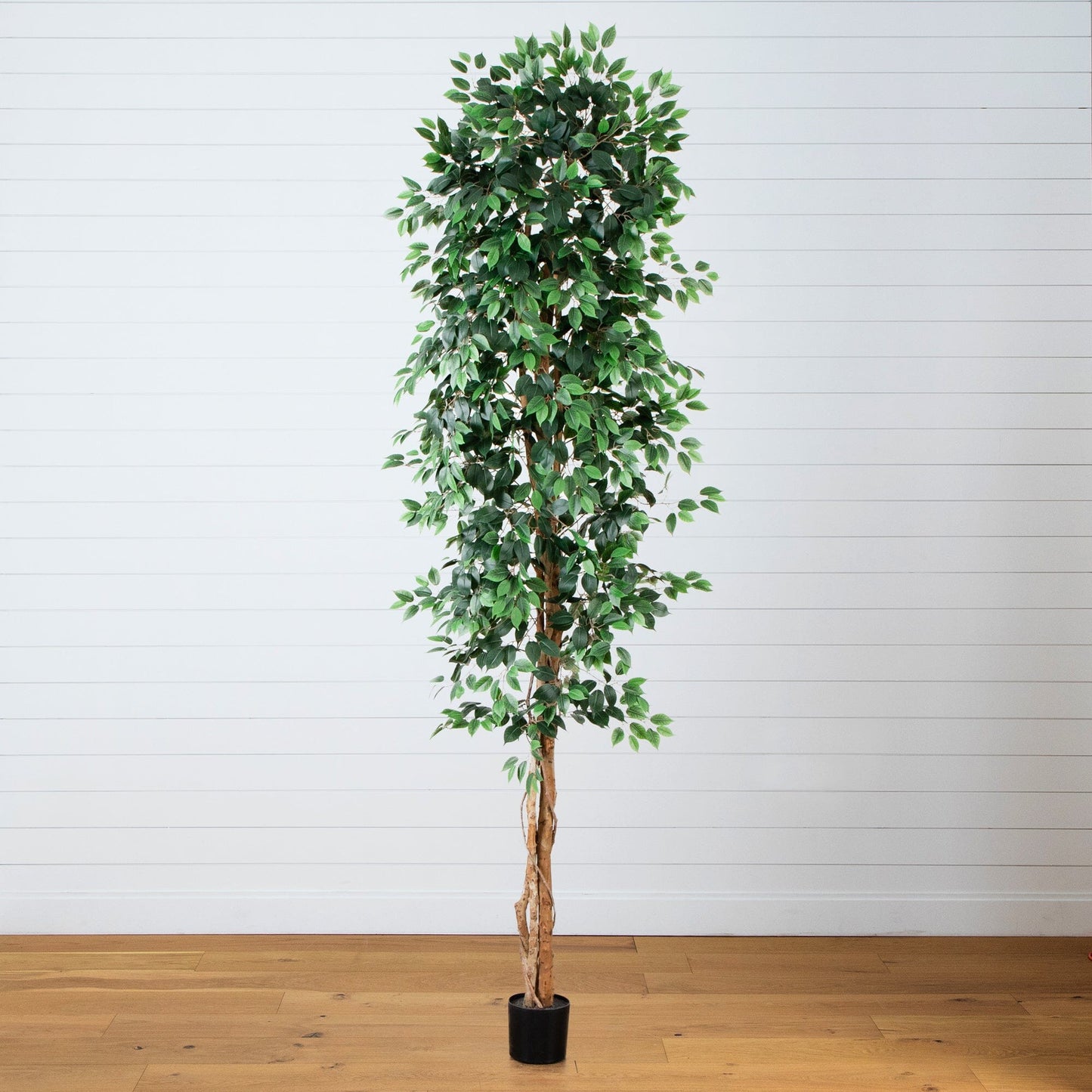 10 ft artificial ficus tree with green leaves and natural trunk in a black pot on Tampa Home & Garden Store