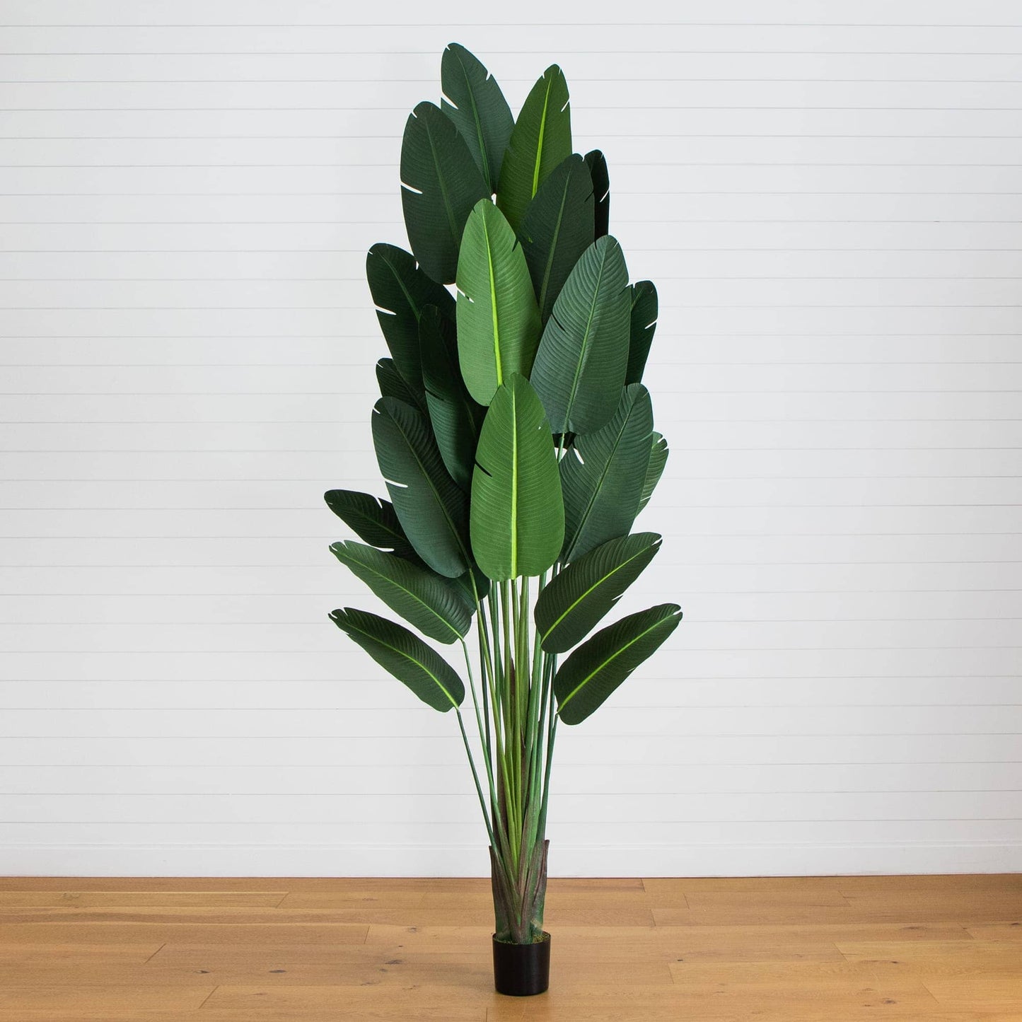 11' Artificial Traveler's Palm Tree with tall green leaves in a pot on Tampa Home & Garden Store
