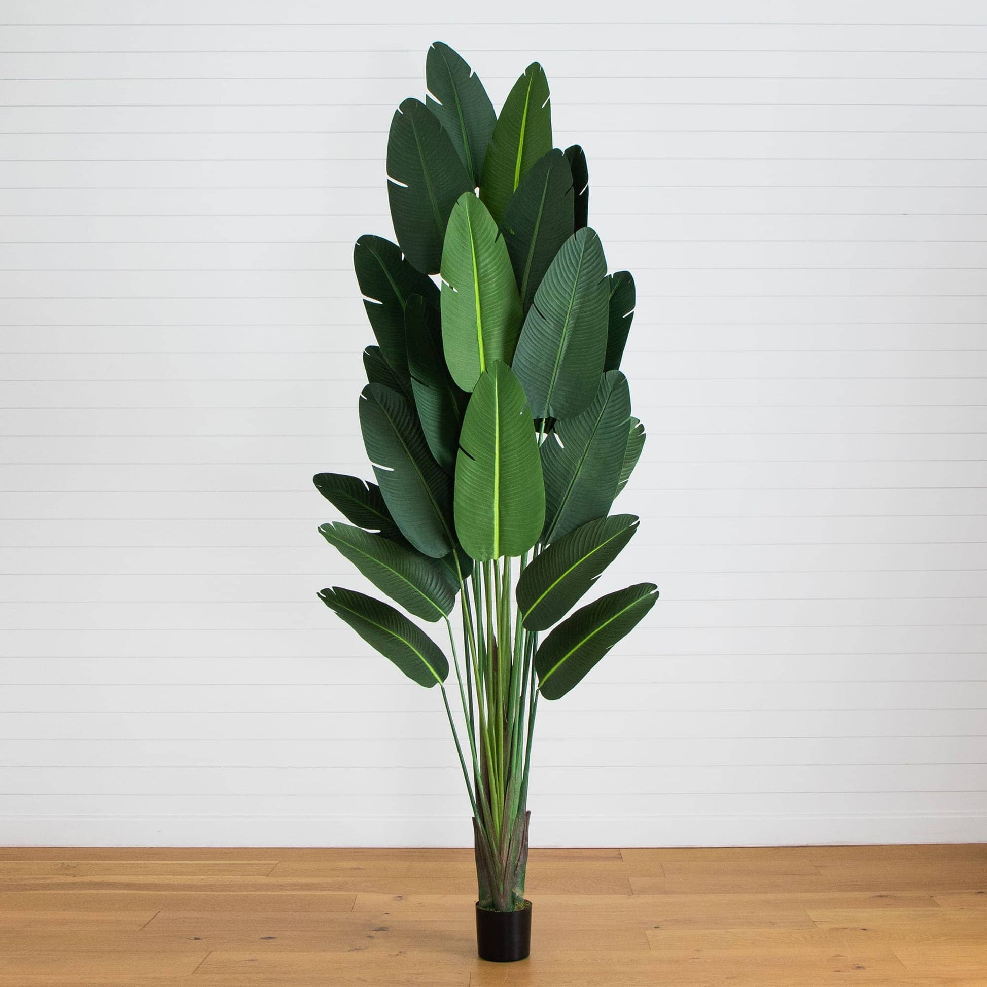 11' Artificial Traveler's Palm Tree with tall green leaves in a pot on Tampa Home & Garden Store