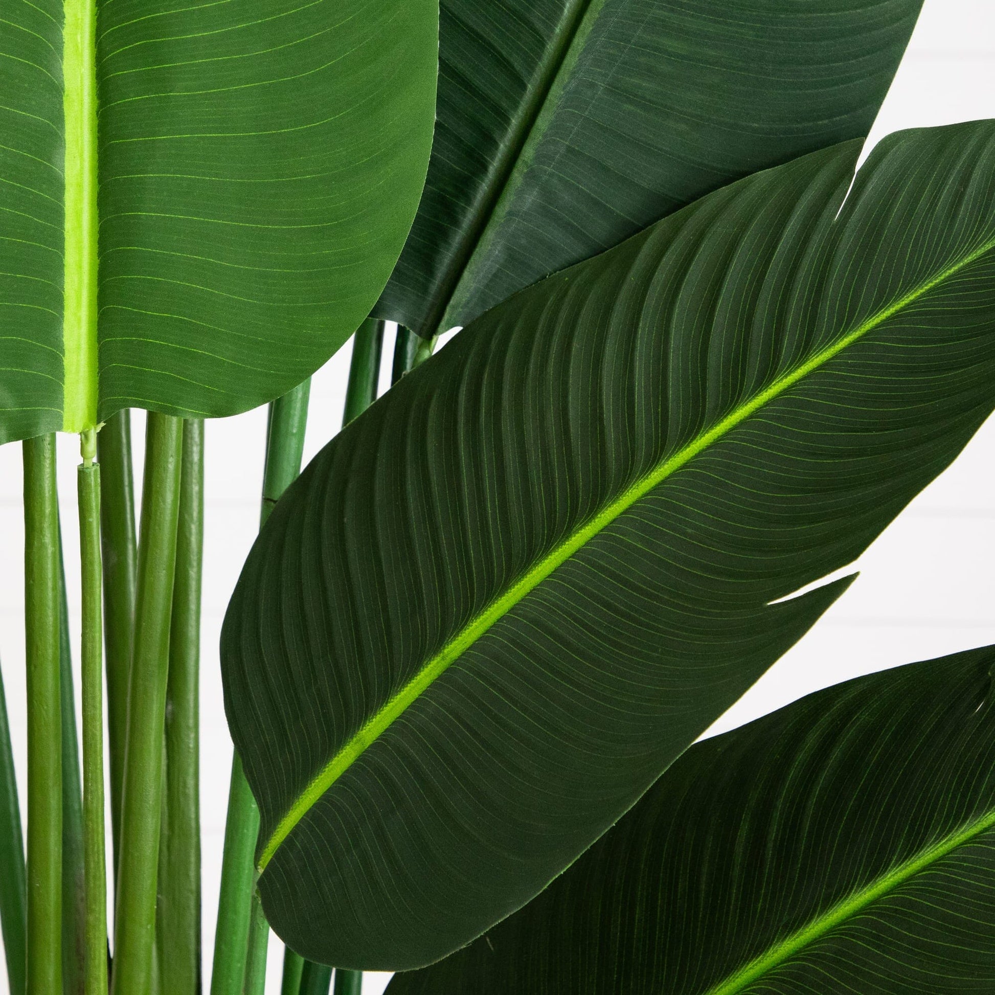 11' Artificial Traveler's Palm Tree by Nearly Natural with lush green leaves on Tampa Home & Garden Store