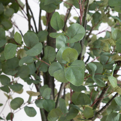 Artificial eucalyptus tree close-up with round green leaves on brown stems Nearly Natural on Tampa Home & Garden Store