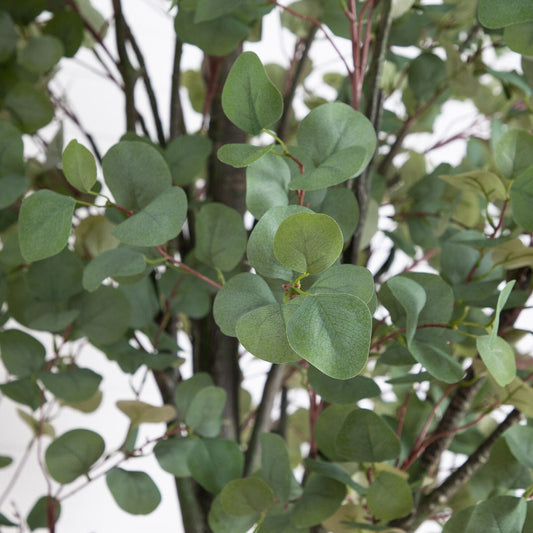 Artificial eucalyptus tree close-up with round green leaves on brown stems Nearly Natural on Tampa Home & Garden Store