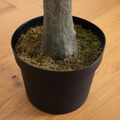 12' Artificial Eucalyptus Tree trunk close-up with bark and green moss in a black pot on Tampa Home & Garden Store