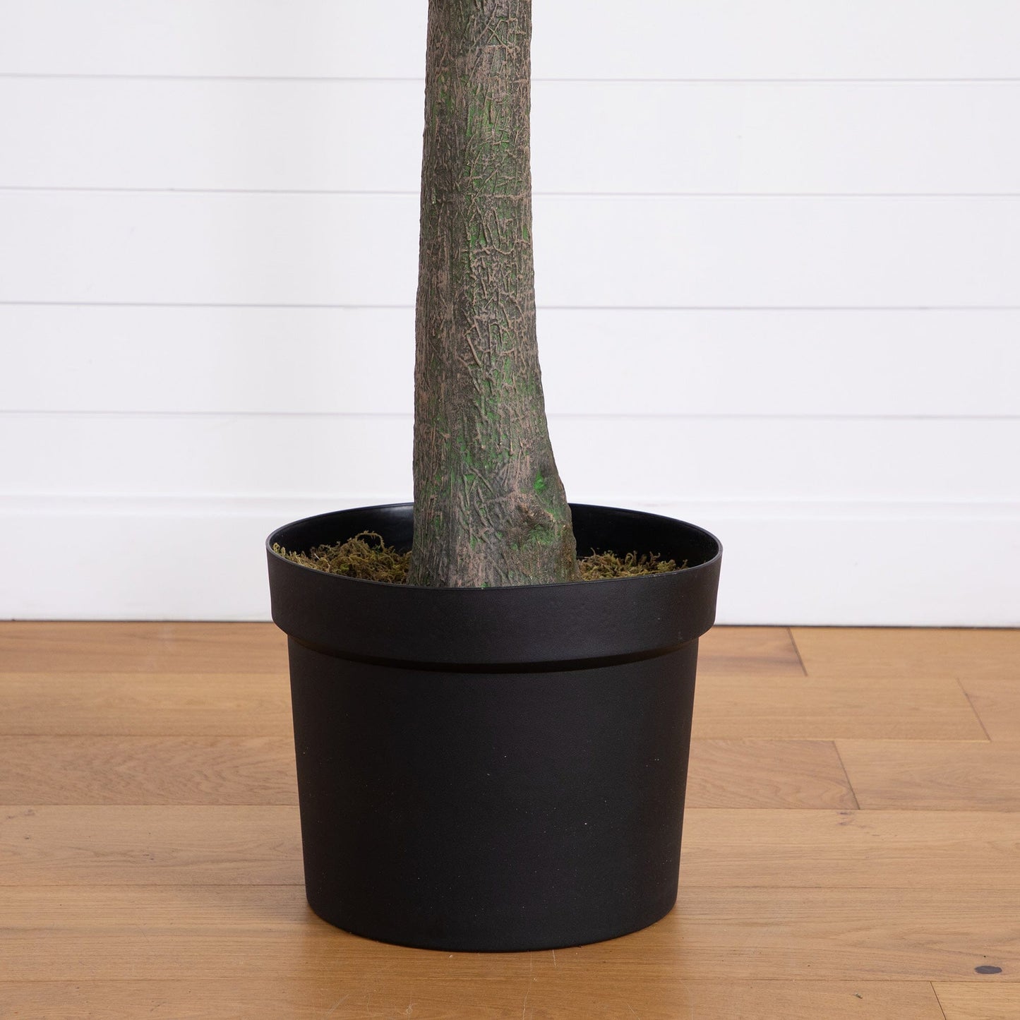 12’ artificial eucalyptus tree trunk in a black planter with moss visible on Tampa Home & Garden Store