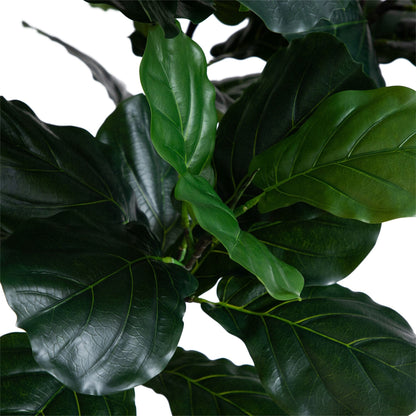12 ft artificial fiddle leaf tree leaves close-up with glossy dark green foliage on Tampa Home & Garden Store