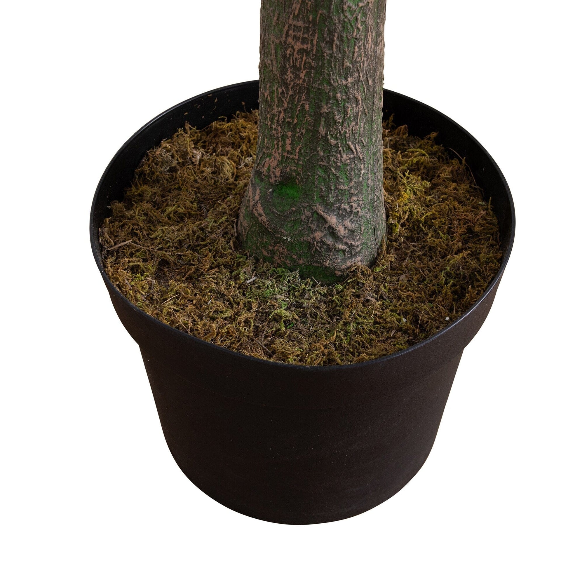 12' Artificial Fiddle Leaf Tree in a mossy round pot on Tampa Home & Garden Store