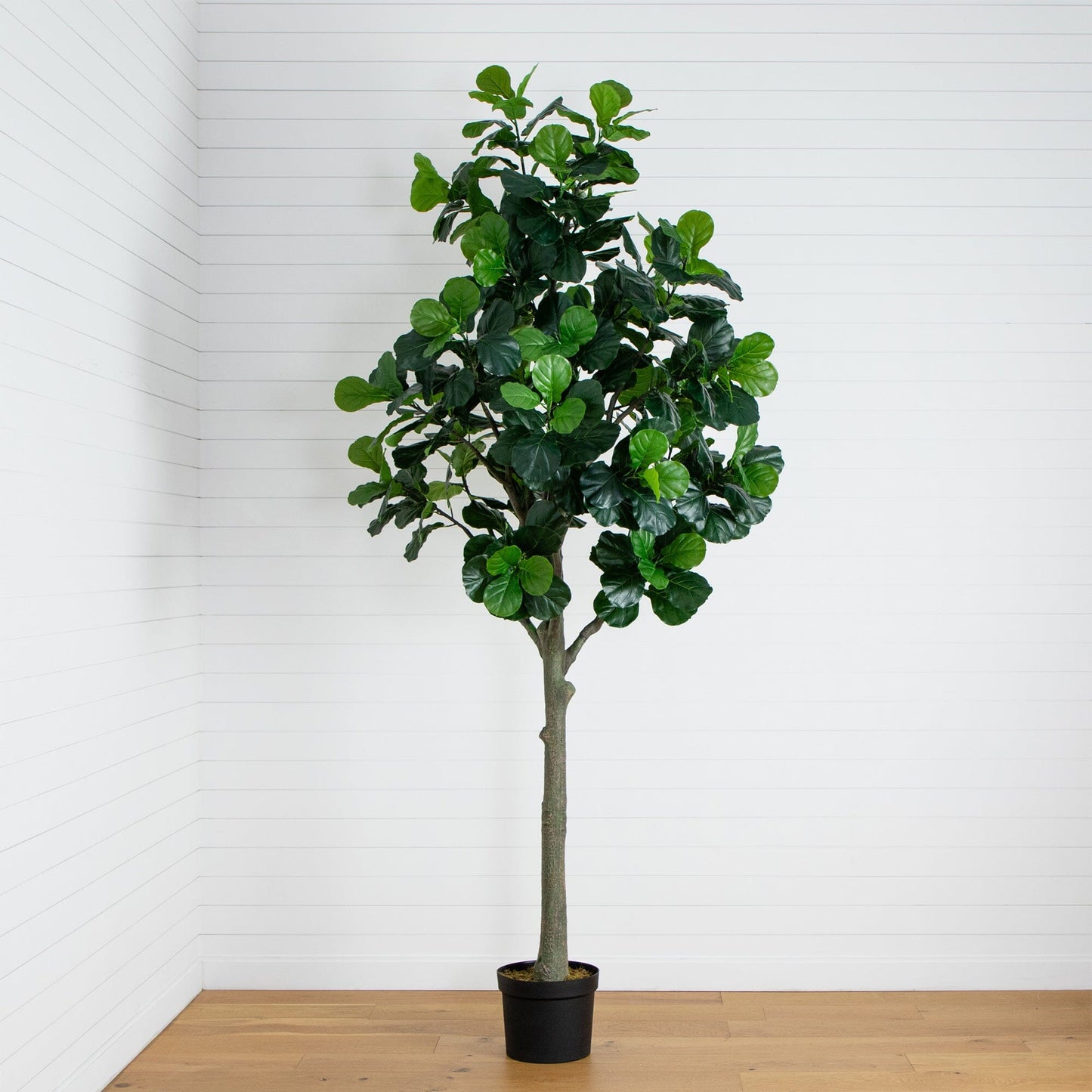 12’ Artificial Fiddle Leaf Tree in black planter with lush green leaves on Tampa Home & Garden Store