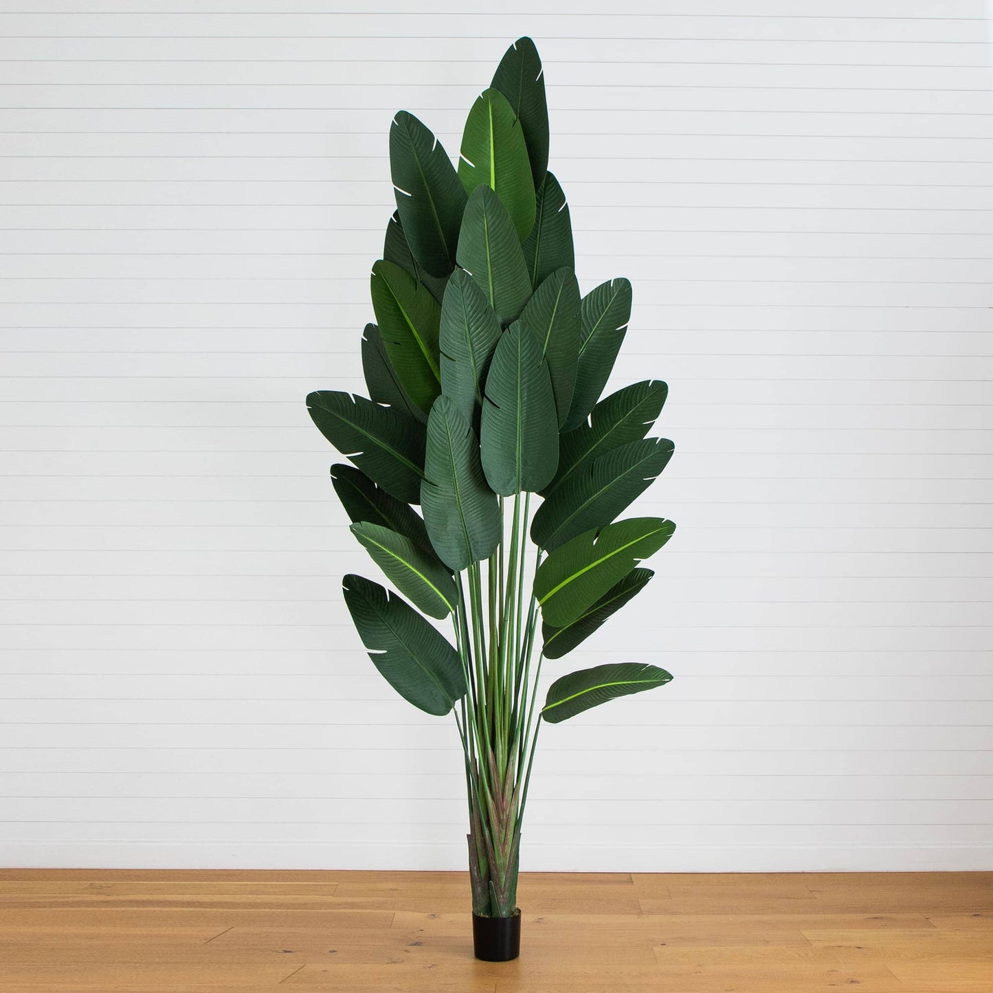 12' Artificial Traveler's Palm Tree with dark green broad leaves in a black pot on Tampa Home & Garden Store