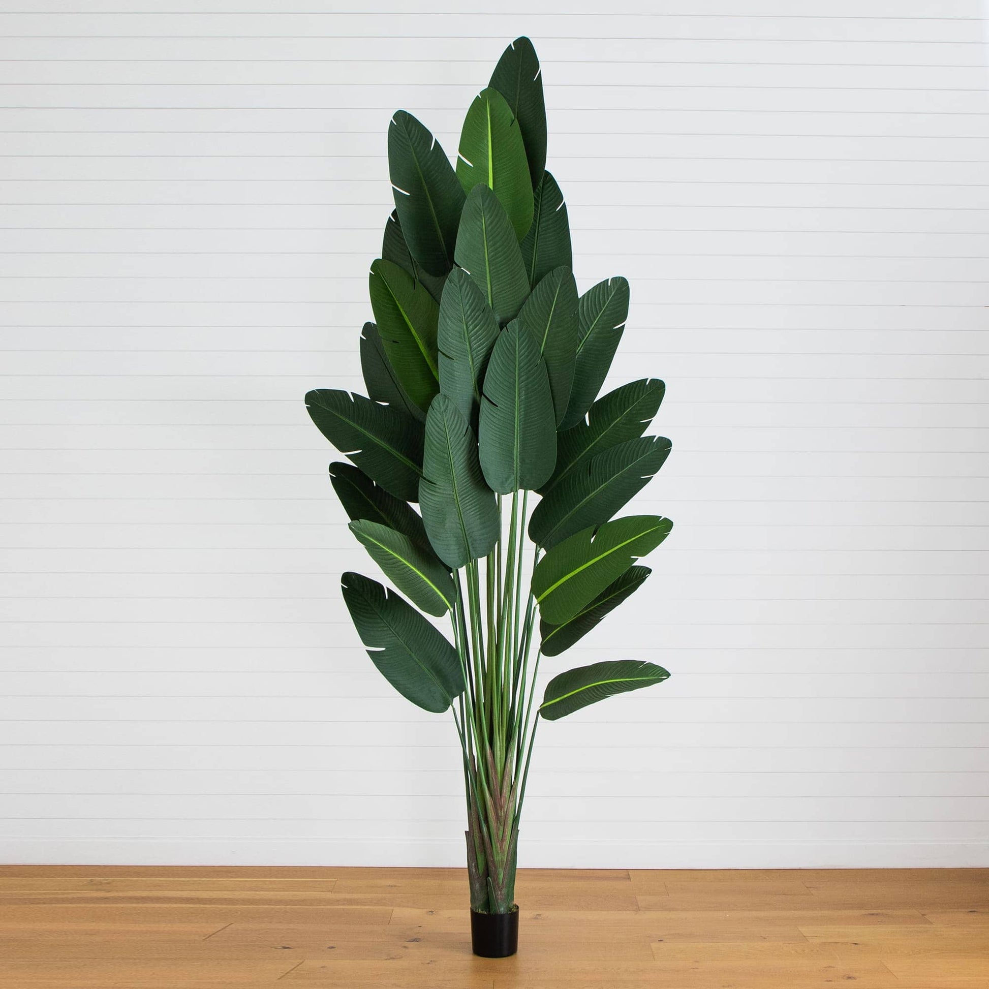 12' Artificial Traveler's Palm Tree with dark green broad leaves in a black pot on Tampa Home & Garden Store